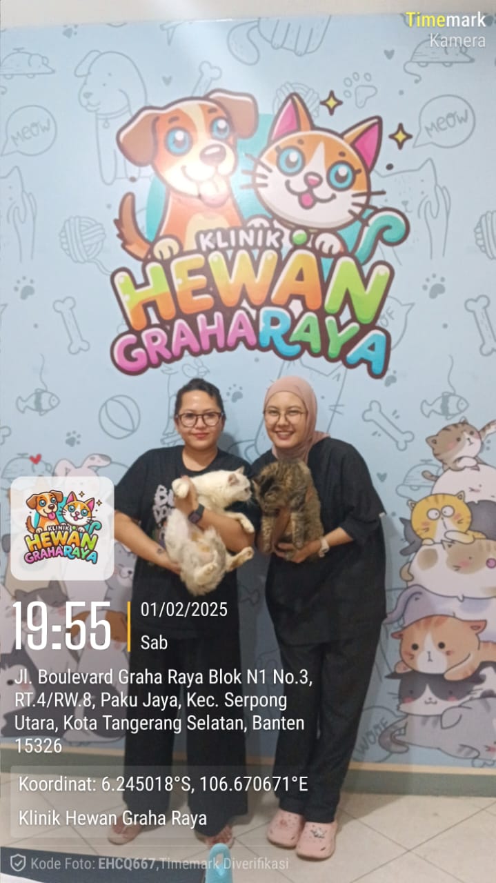 WhatsApp Image 2025-03-27 at 14.11.04 (2)